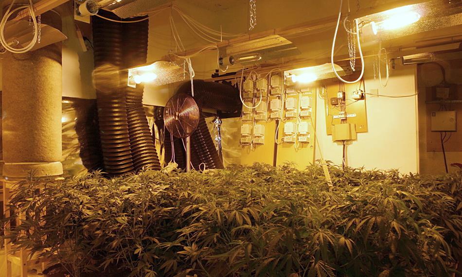 2010-8-18-1117 03 .jpg